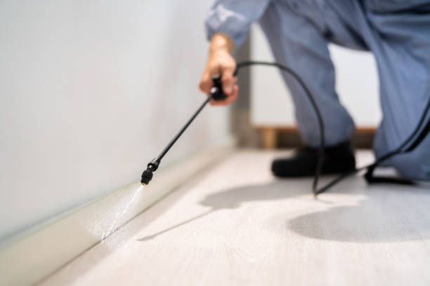 Licensed Pest Control service in Kewaskum, WI - Show Me Pest Control